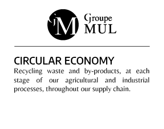 Mul Group - Circular Economy