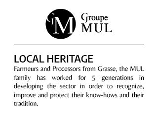Mul Group - Local Heritage