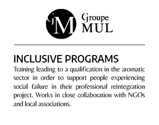 Mul Group - Inclusive Programs
