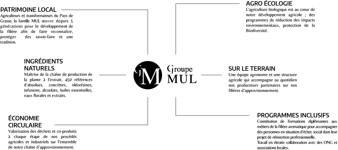 Schéma Groupe Mul