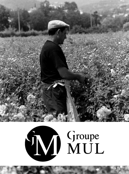 Groupe Mul